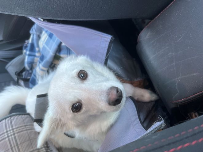 lunA ESKIE.jpg